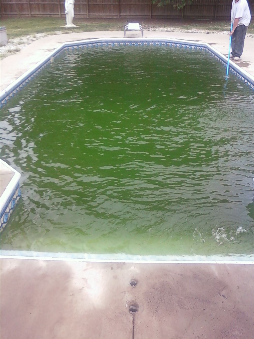 Água de piscina verde e opaca, tomada por algas
