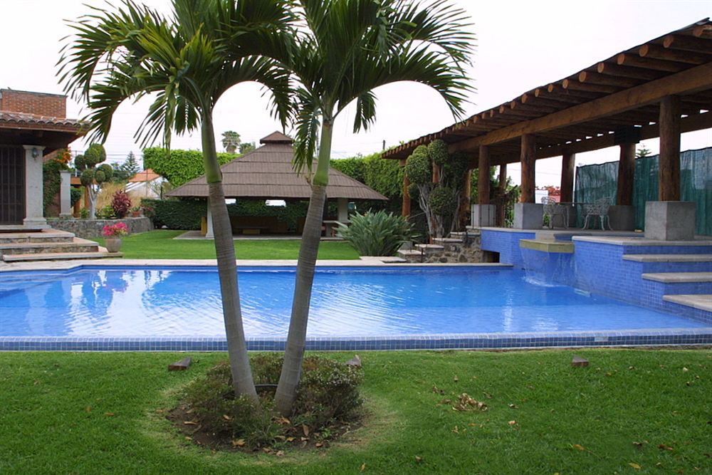 Palmeira plantada num canteiro de grama ao lado de uma piscina residencial